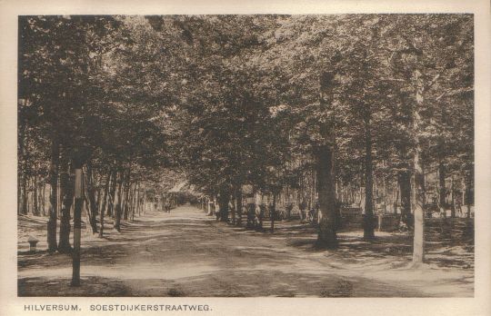 theehuis in de Dennen